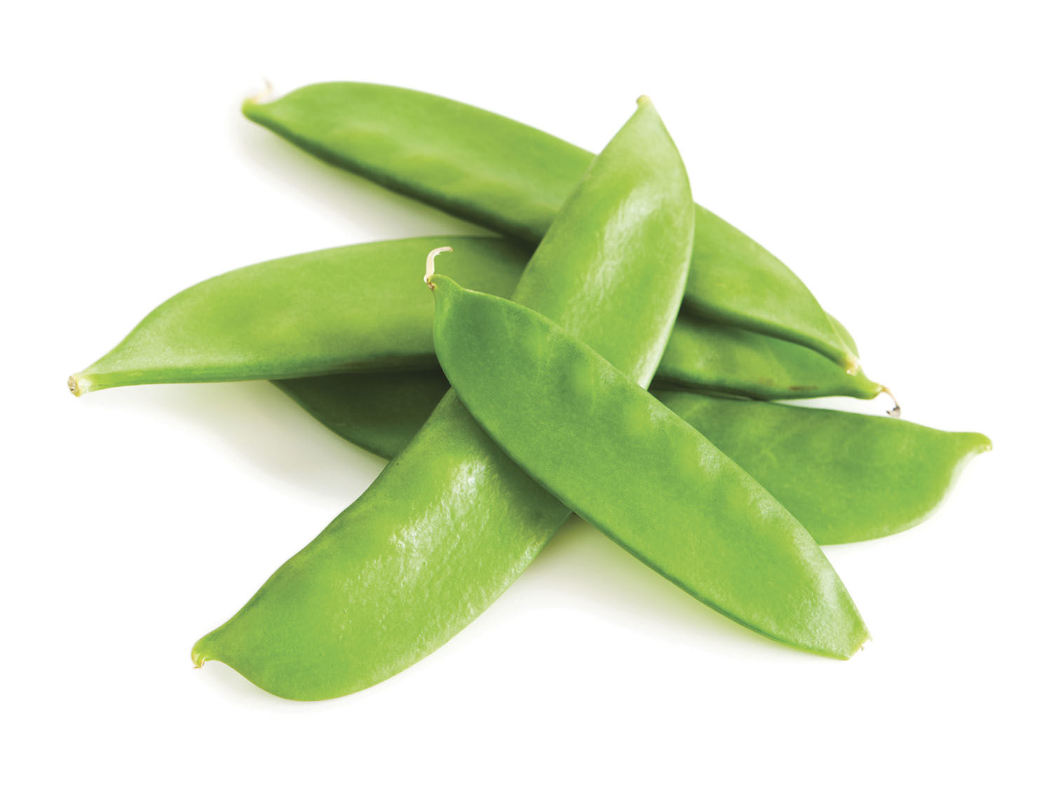 Snow Peas